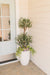 10 Best Styling Tips to Make Your Faux Olive Tree Look Realistic