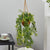 Hanging Planter Ideas Indoor for Fall (2022 Updated)