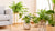 Indoors Home Decor with Artificial Potted Plants