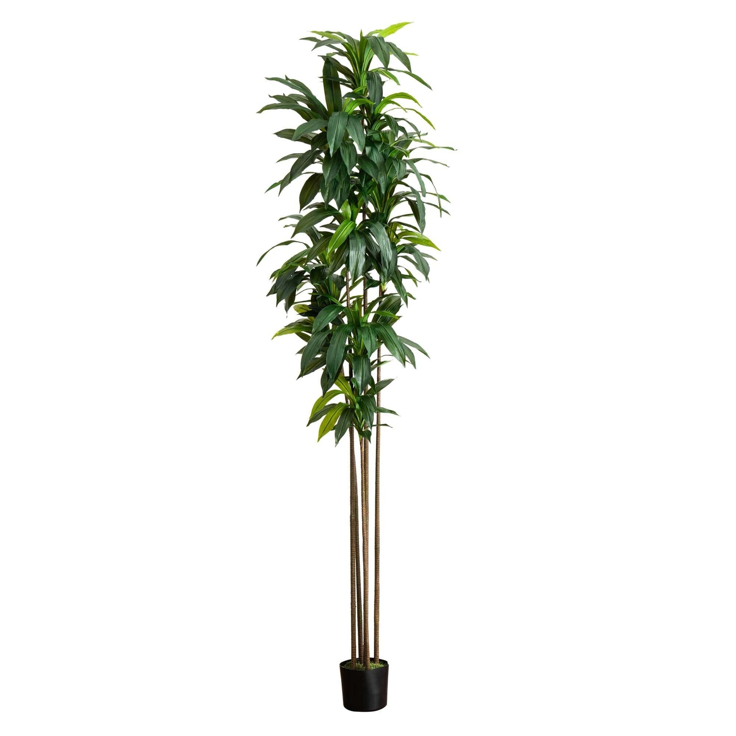 10’ Artificial Dracaena Tree with Real Touch Leaves