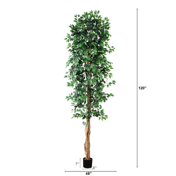 10’ Artificial Ficus Tree with Natural Trunk