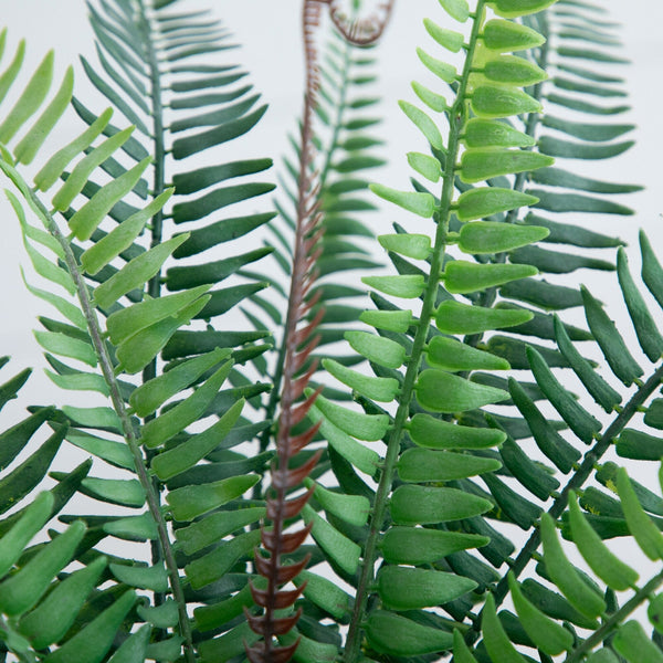 16” Artificial Boston Fern Plant in Decorative Cement Planter