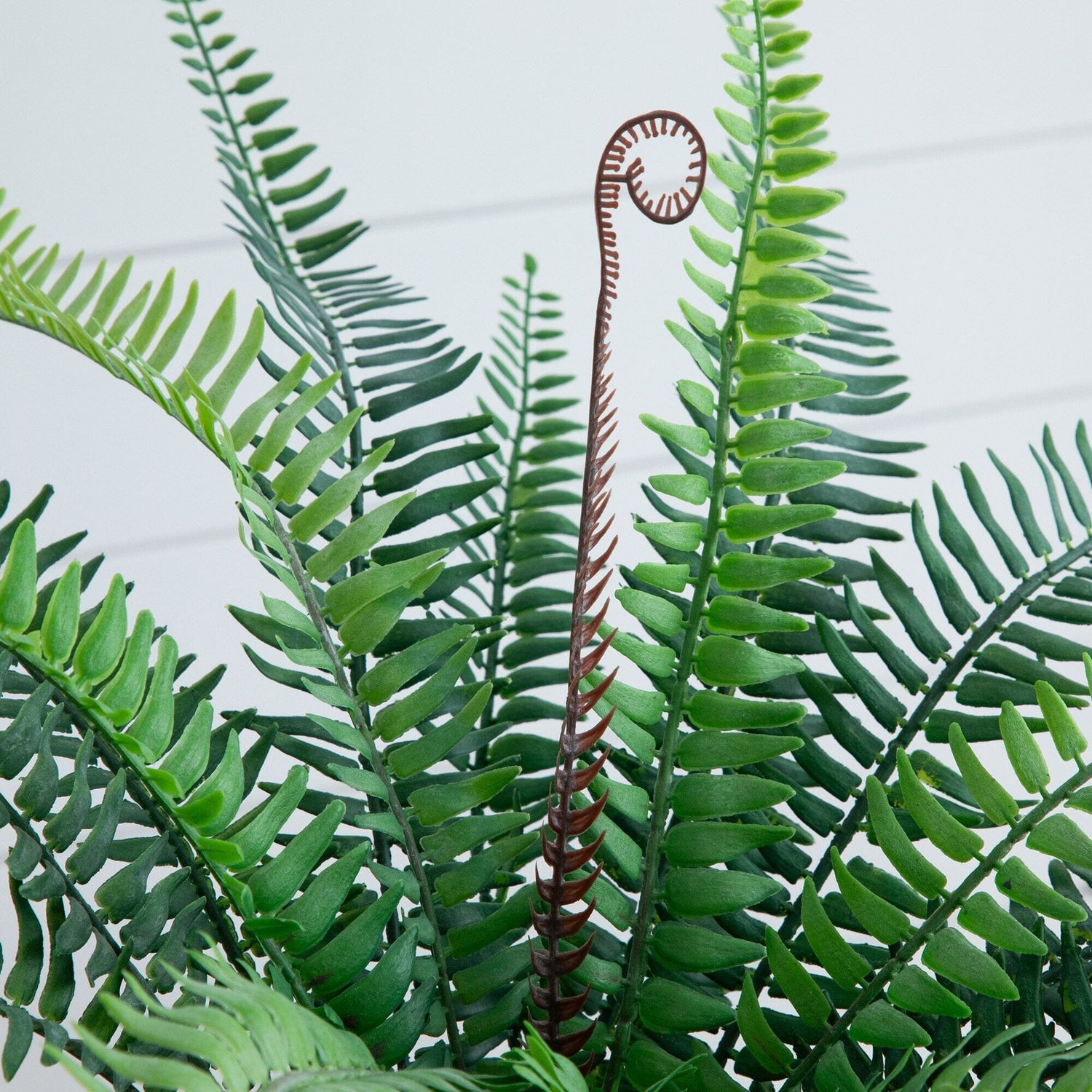 16” Artificial Boston Fern Plant in Decorative Cement Planter