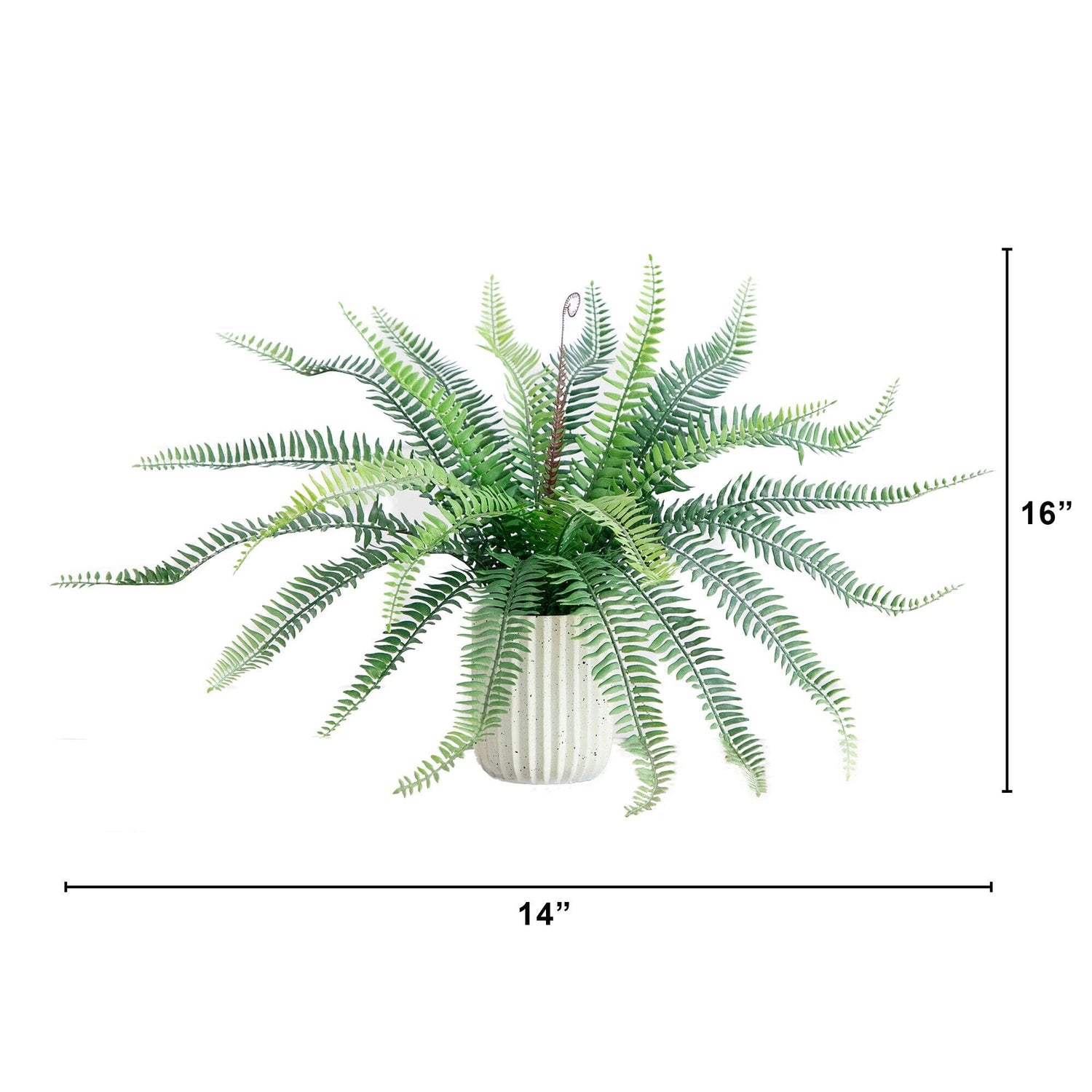 16” Artificial Boston Fern Plant in Decorative Cement Planter