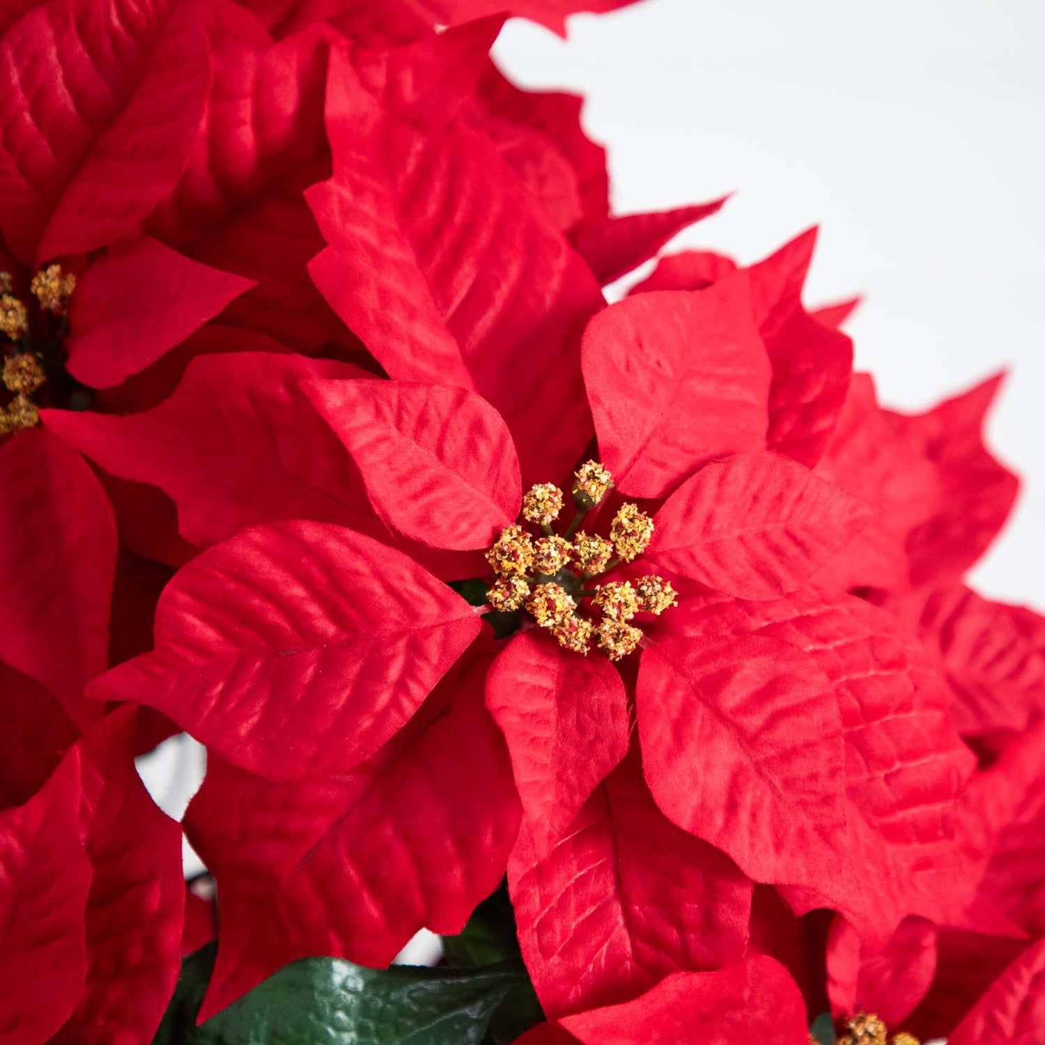 19” Artificial Lush Poinsettia Arrangement in Red Wrapped Planter