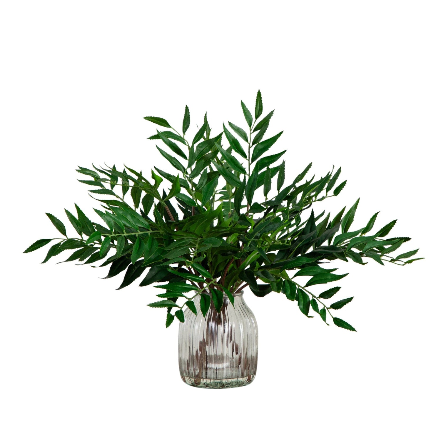 19” Palmate Fern Arrangement in Glass Vase