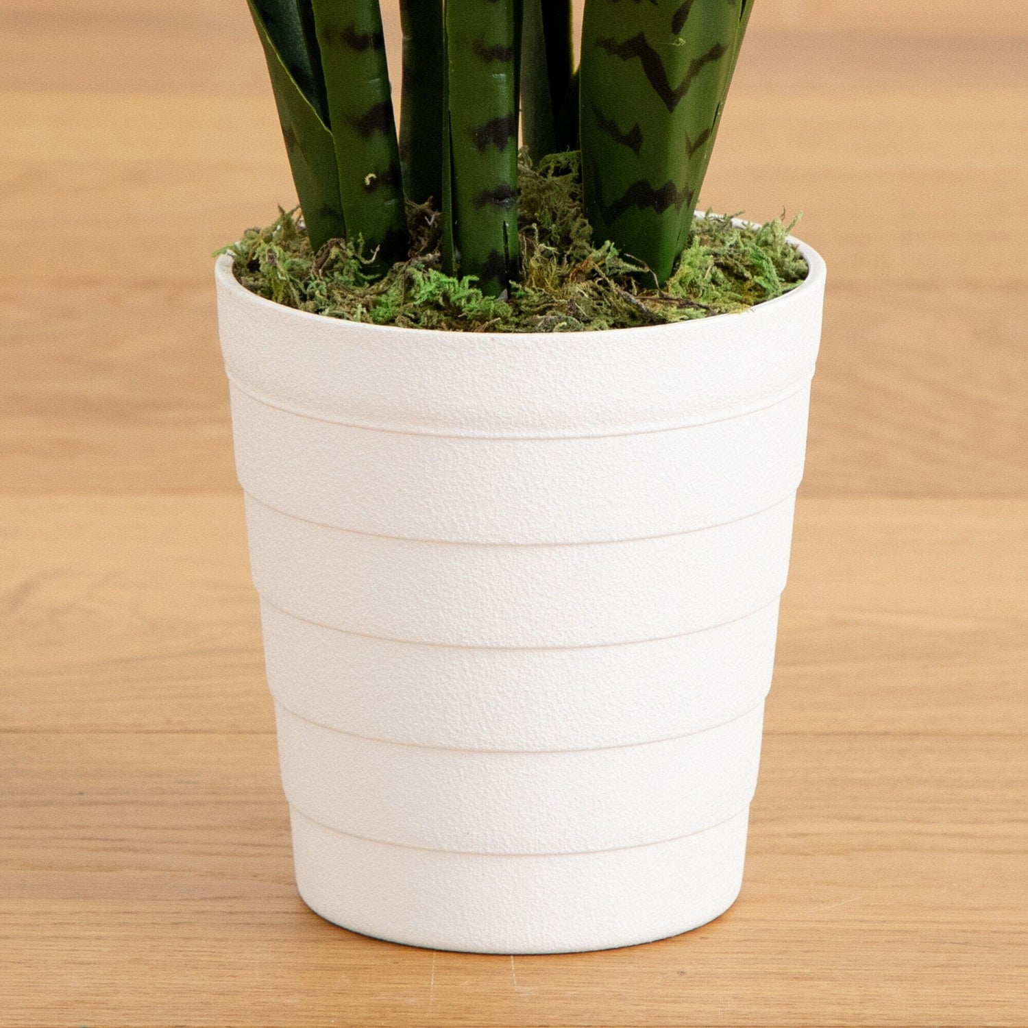 2' UV Resistant Artificial Sansevieria Plant in White Decorative Planter (Indoor/Outdoor)