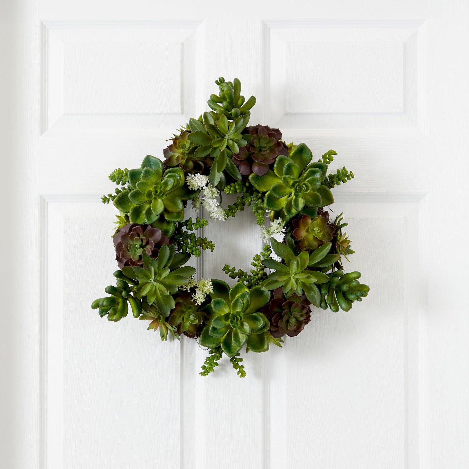 20" Succulent Wreath"