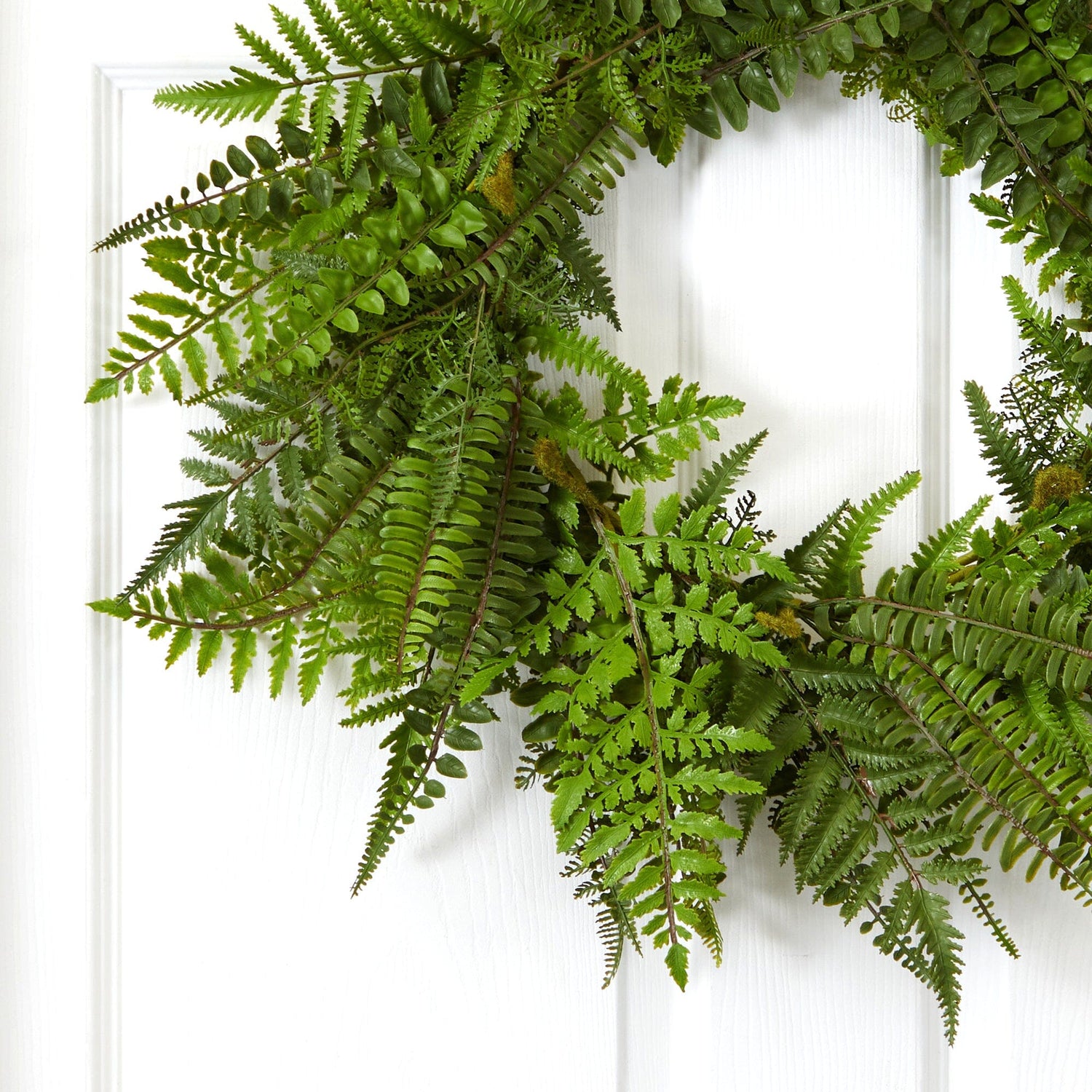 24” Mixed Fern Wreath