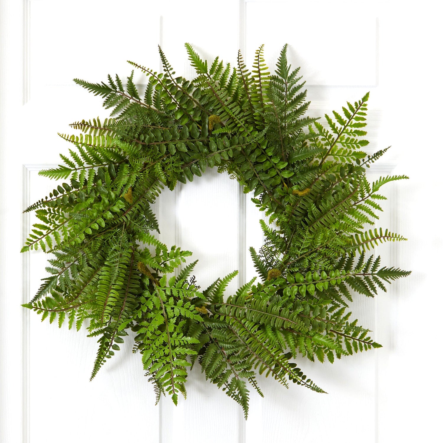 24” Mixed Fern Wreath