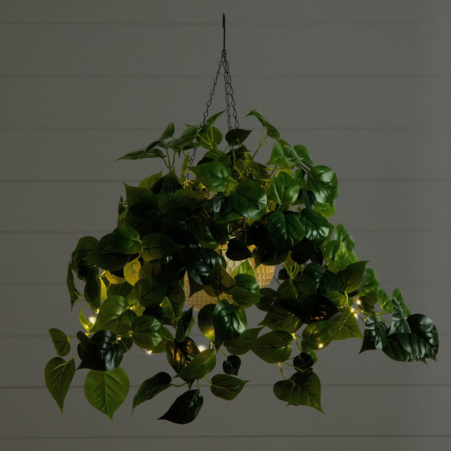 24” UV Resistant Artificial Philodendron with 50 Warm White LED Lights in White Hanging Basket