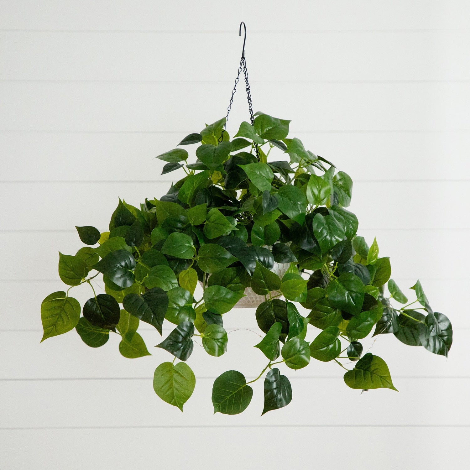 24” UV Resistant Artificial Philodendron with 50 Warm White LED Lights in White Hanging Basket