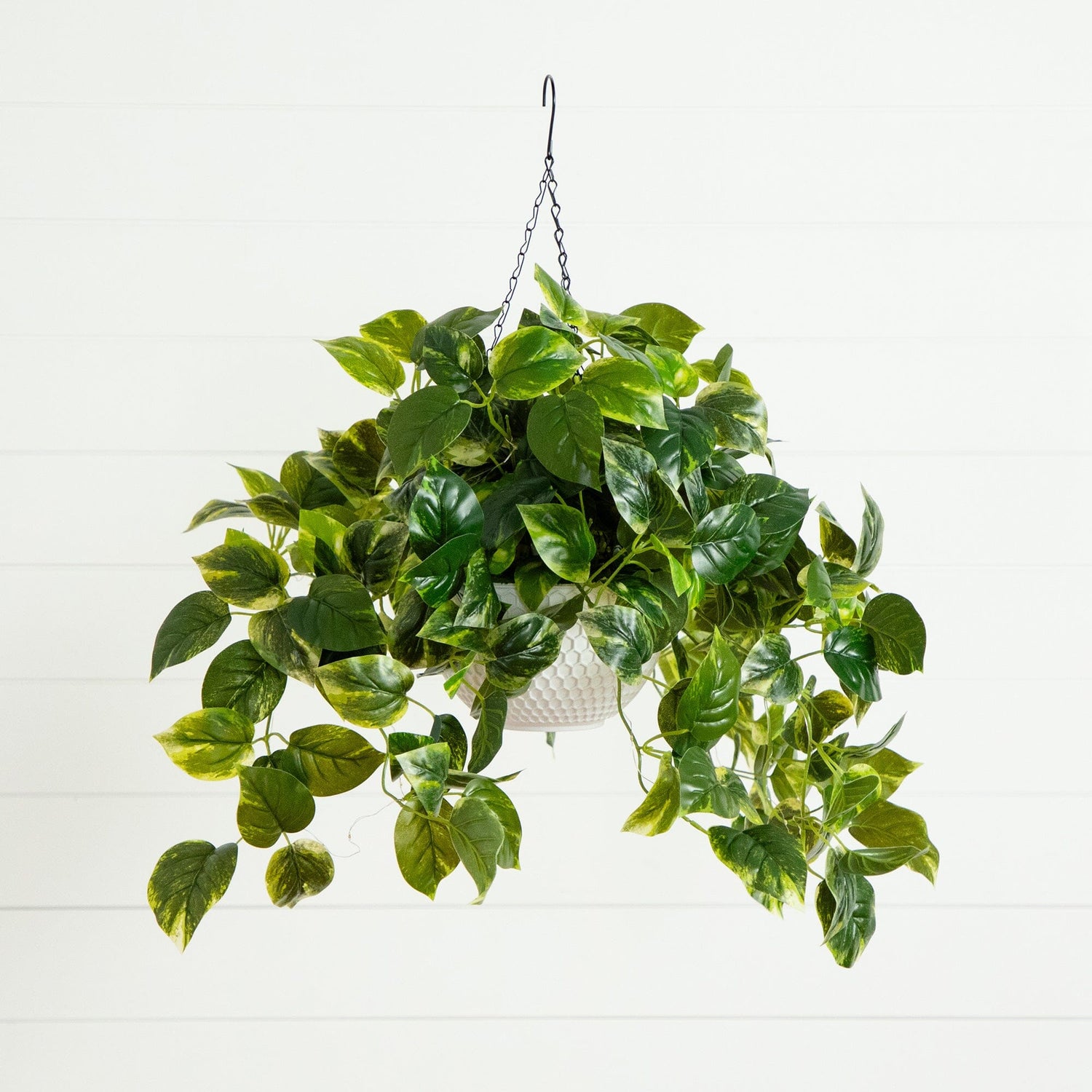 24”UV Resistant Artificial Pothos with 50 Warm White LED Lights in White Hanging Basket