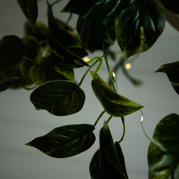 24”UV Resistant Artificial Pothos with 50 Warm White LED Lights in White Hanging Basket