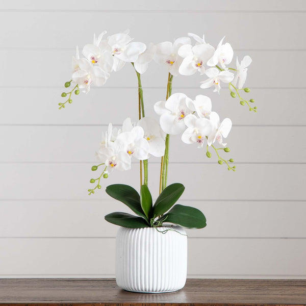 26” Artificial Phalaenopsis Orchid Arrangement in Decorative Ceramic Vase (Real Touch)