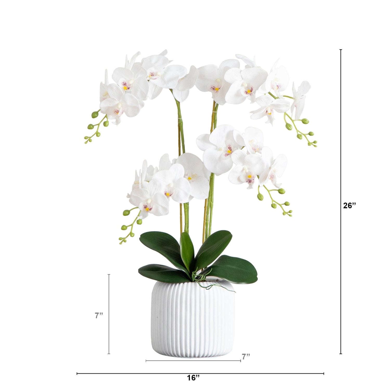 26” Artificial Phalaenopsis Orchid Arrangement in Decorative Ceramic Vase (Real Touch)