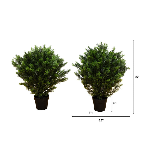 3’ Cedar Bush UV Resistant (Indoor/Outdoor) - Set of 2