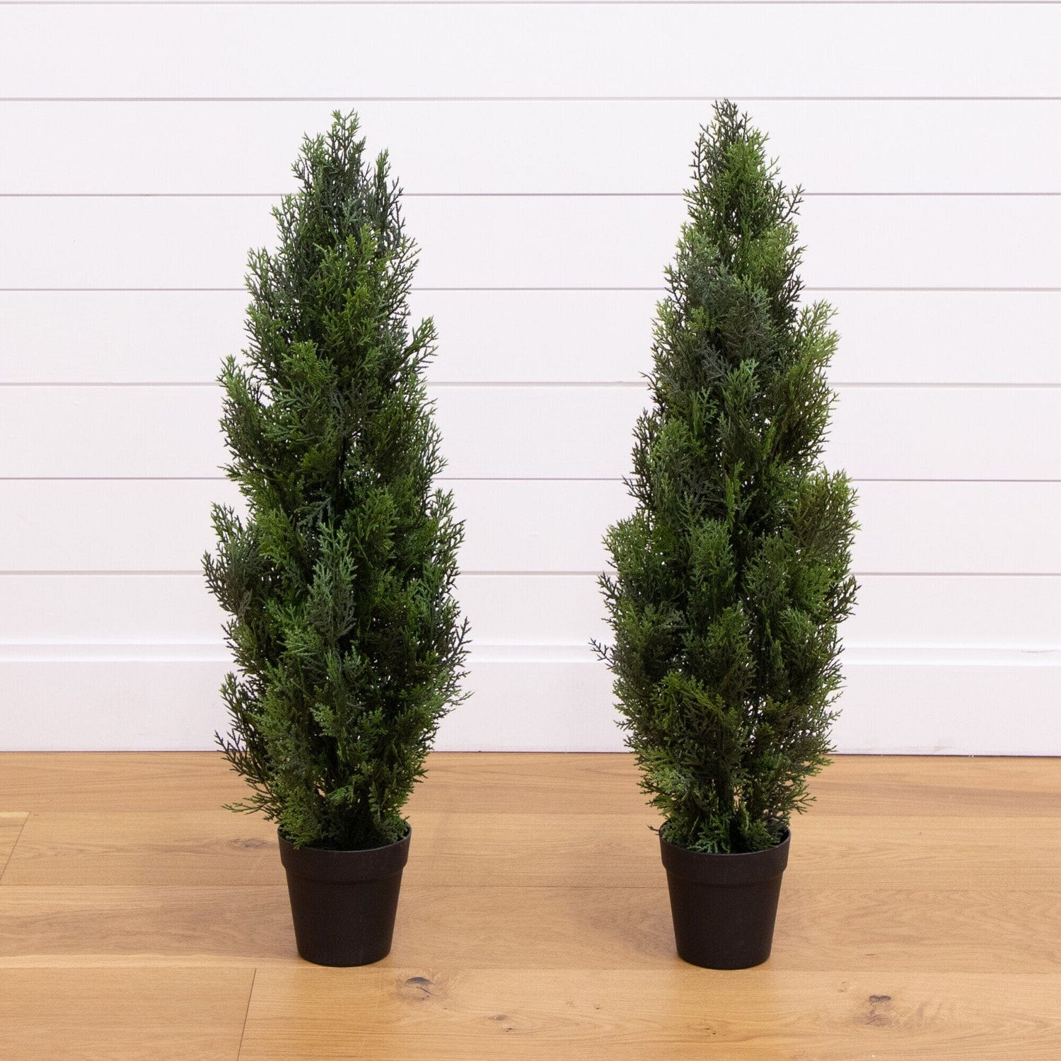 3’ Mini Cedar Pine Tree (Indoor/Outdoor) - Set of 2