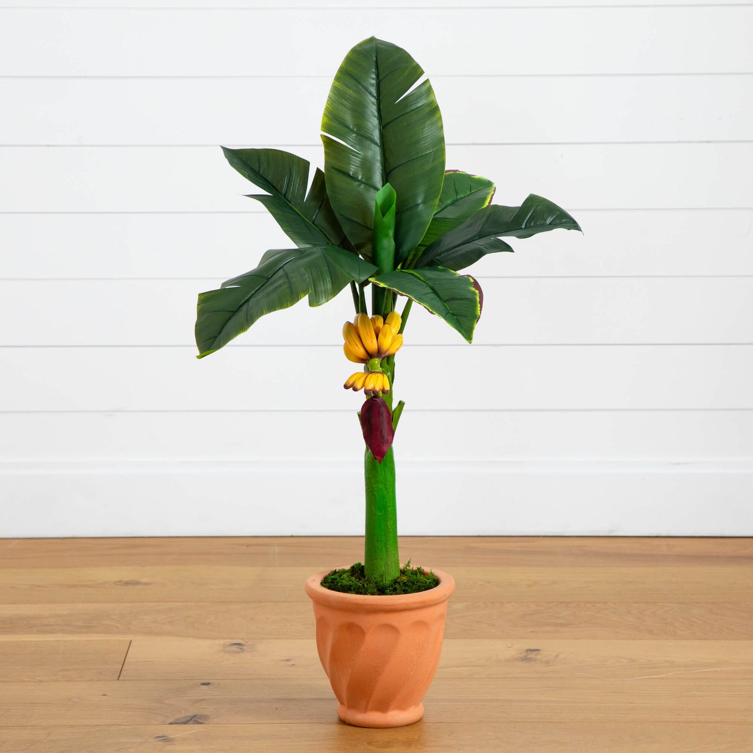 3’ Banana Artificial Tree in Terracotta Planter