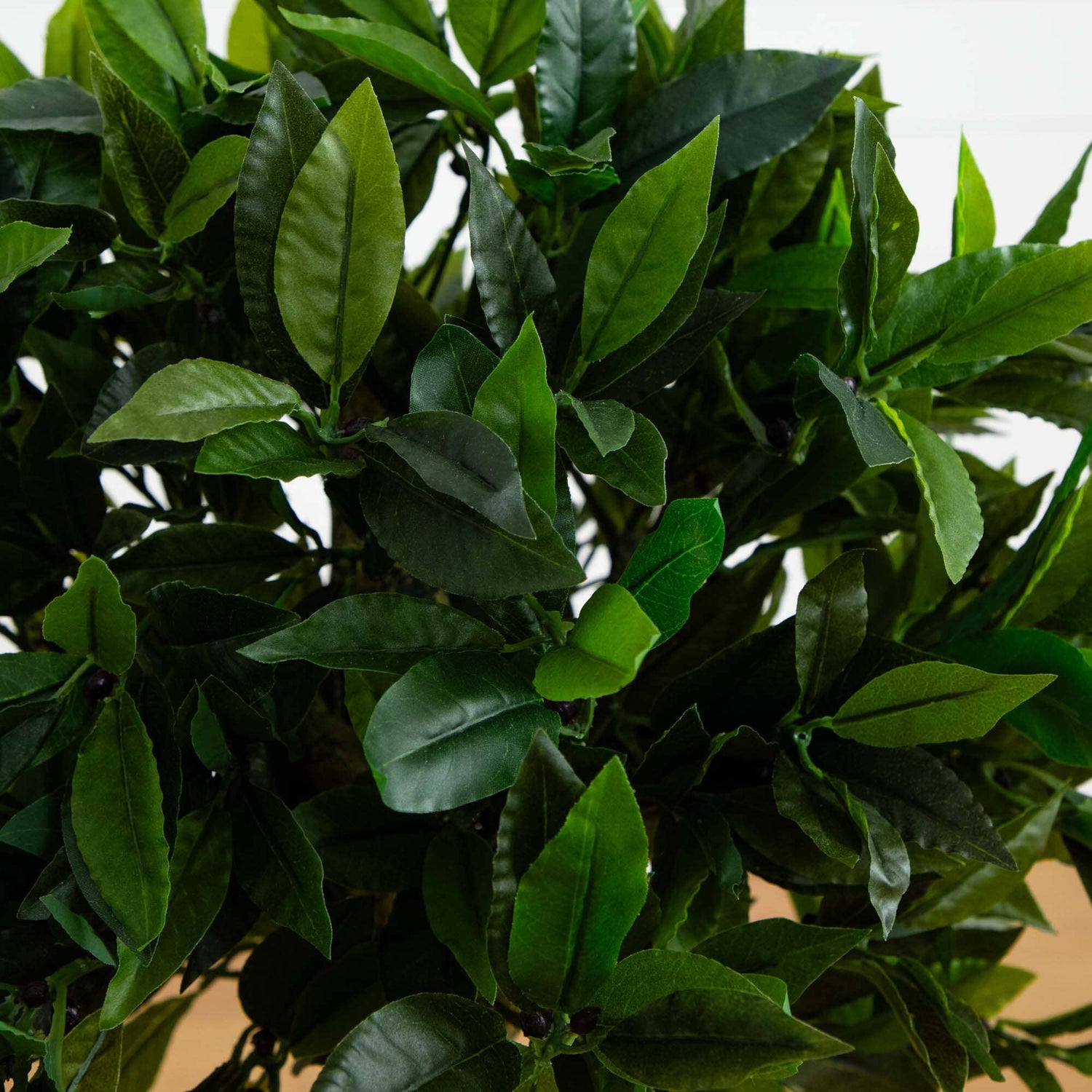 3' Bay Leaf Topiary UV Resistant (Indoor/Outdoor)