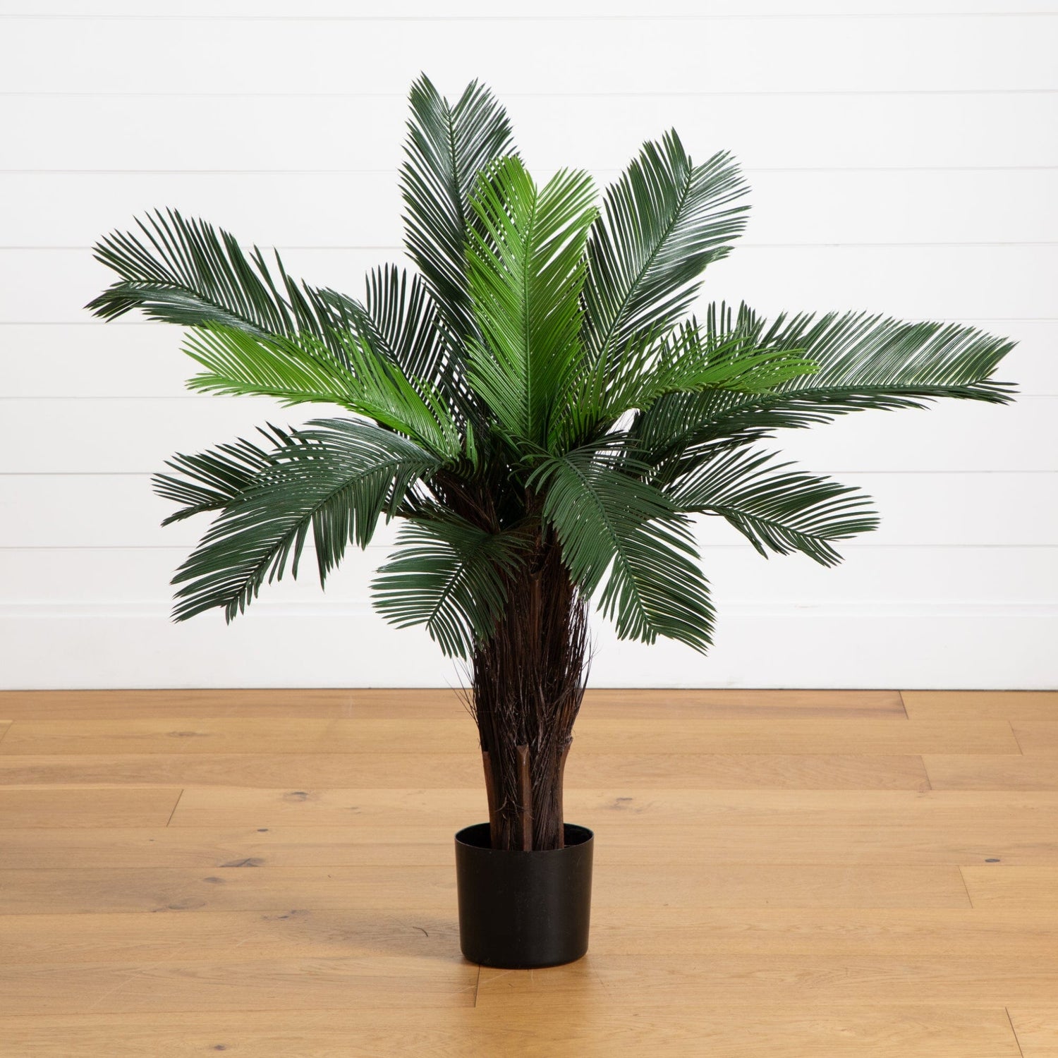 3’ Cycas Palm Tree UV Resistant (Indoor/Outdoor)