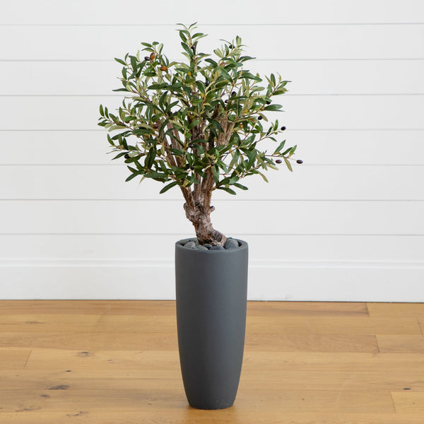 3.5’ Olive Tree in Gray Cylinder Planter