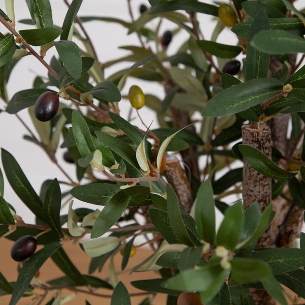 3.5’ Olive Tree in White Tower Planter