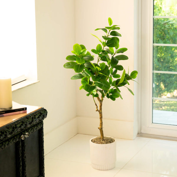 4’ Artificial Audrey Ficus Tree