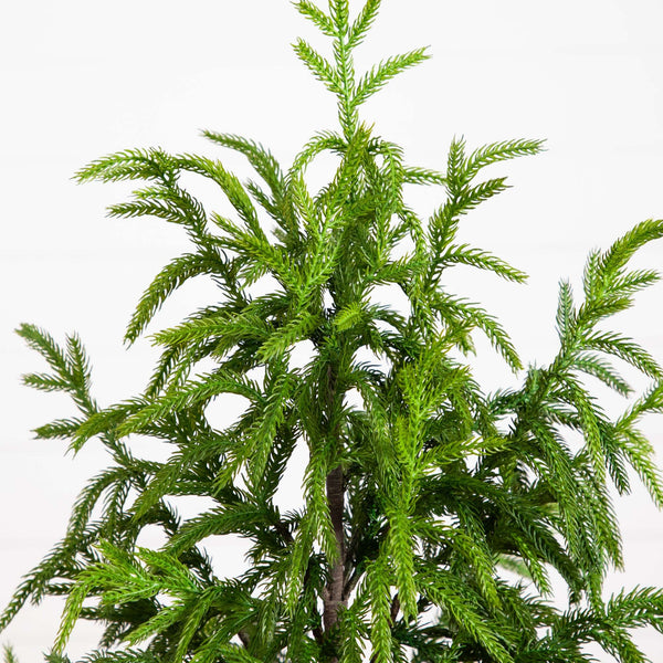 4' Artificial Norfolk Pine Tree