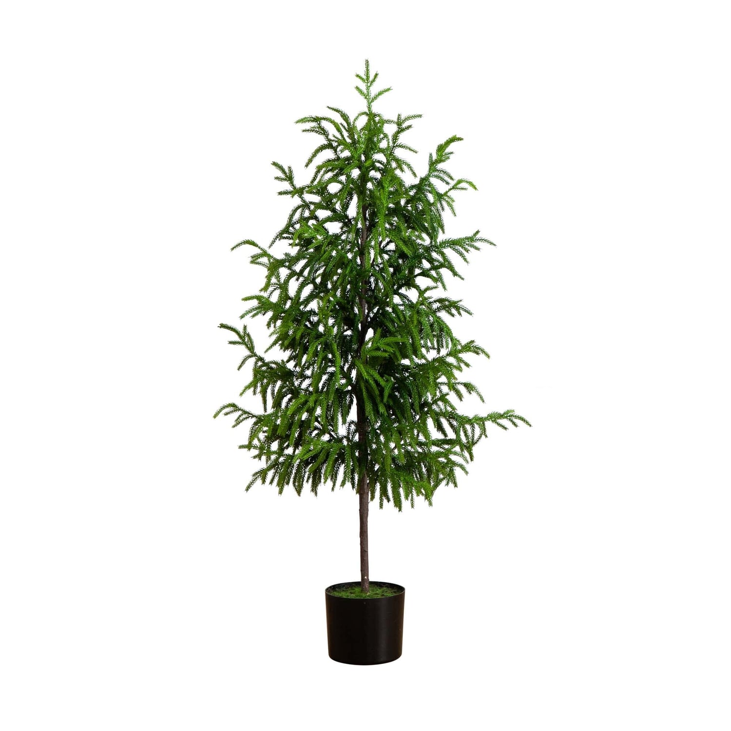 4' Artificial Norfolk Pine Tree