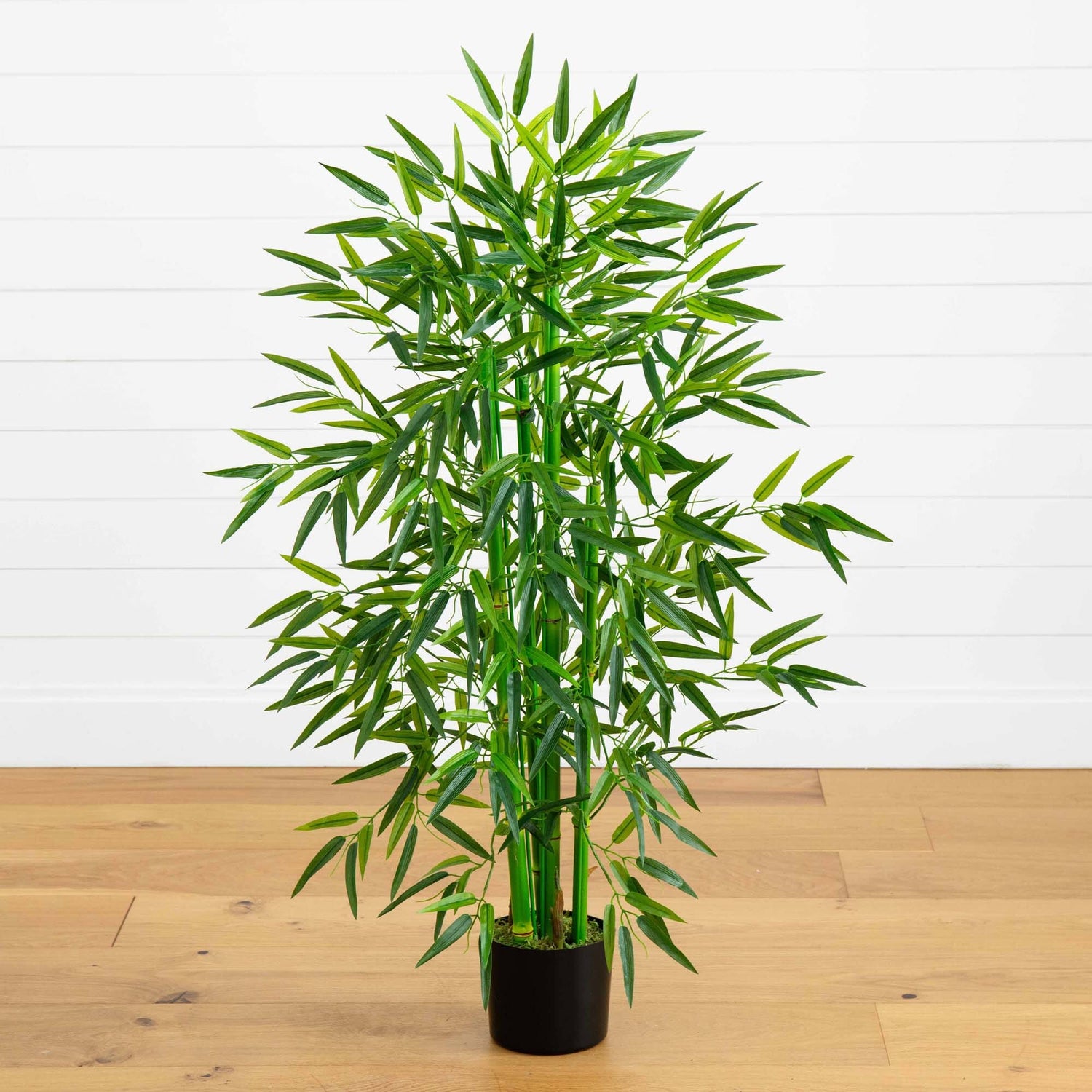4' Bamboo Tree UV Resistant (Indoor/Outdoor)