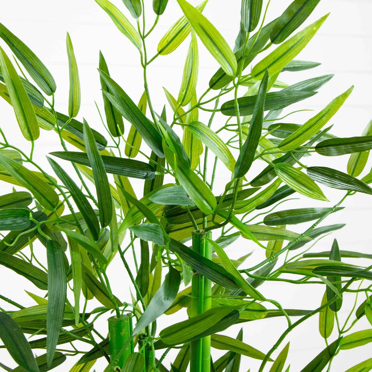 4' Bamboo Tree UV Resistant (Indoor/Outdoor)