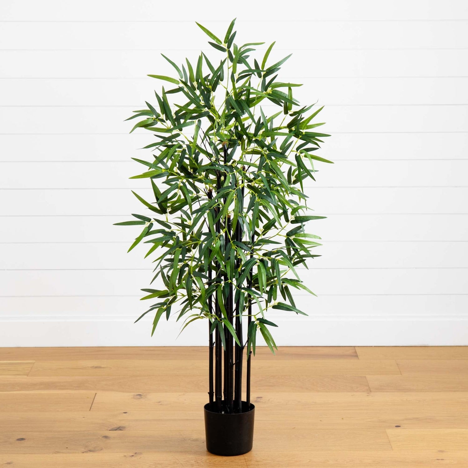 4’ Black Bamboo Tree