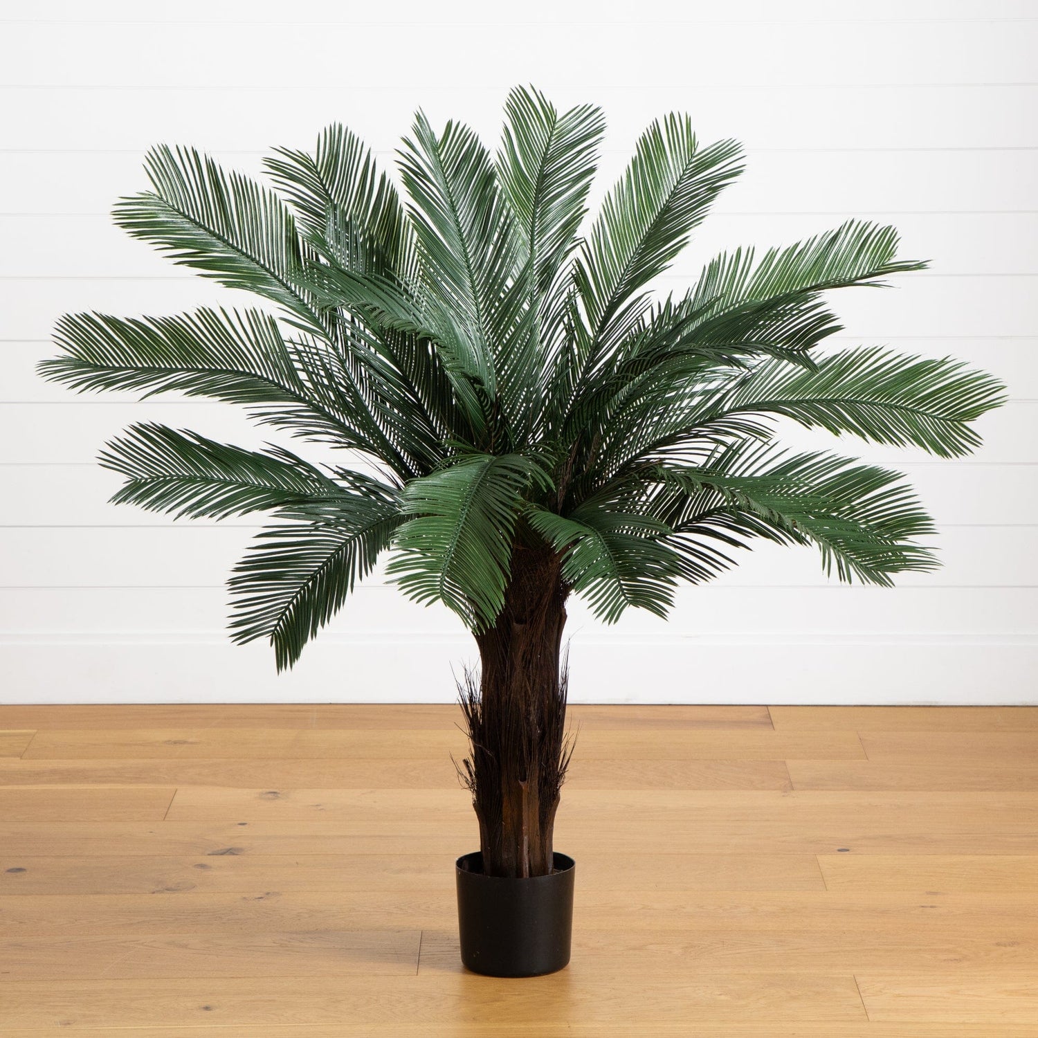 4’ Cycas Tree UV Resistant (Indoor/Outdoor)