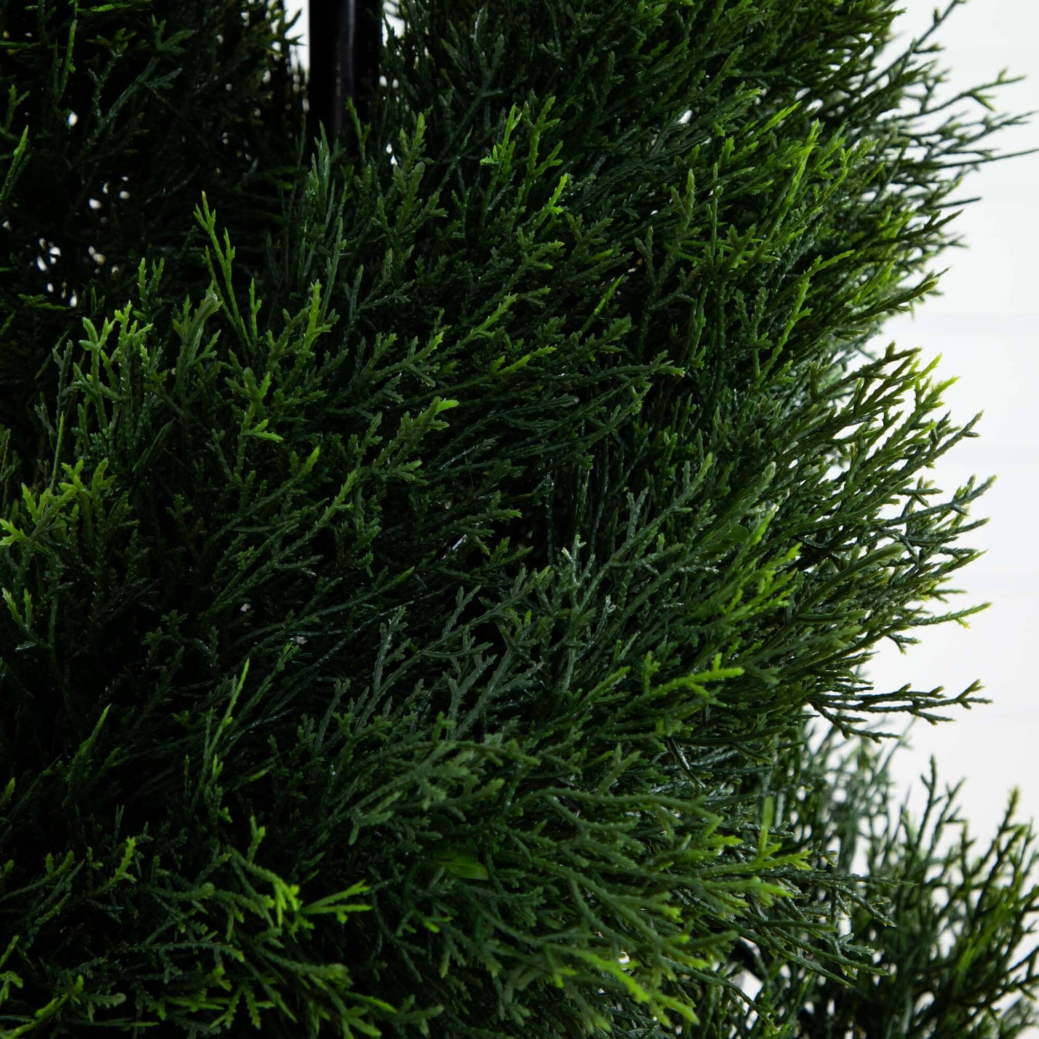 4’ Double Pond Cypress Spiral Topiary UV Resistant (Indoor/Outdoor)