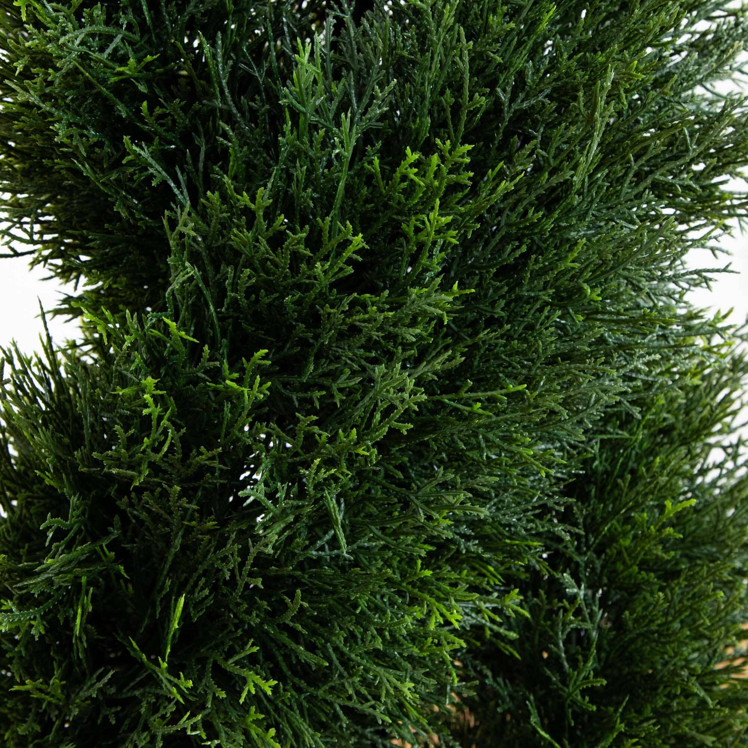 4’ Double Pond Cypress Spiral Topiary UV Resistant (Indoor/Outdoor)