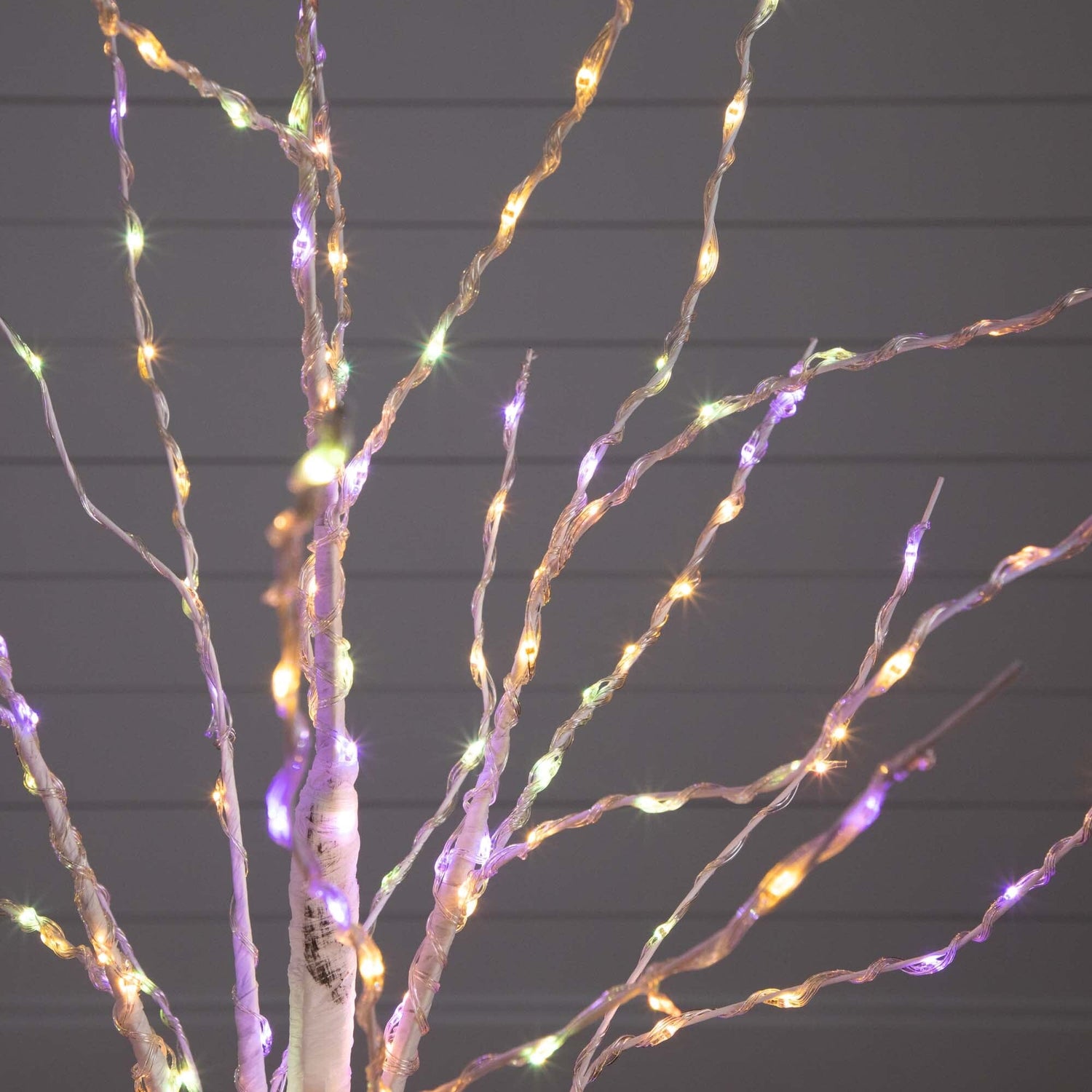 4’ Pre-Lit Artificial White Birch Tree with 240 Color Changing LED Lights