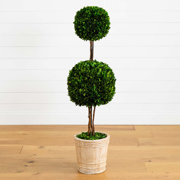 4’ Preserved Boxwood Double Ball Topiary Tree in Planter