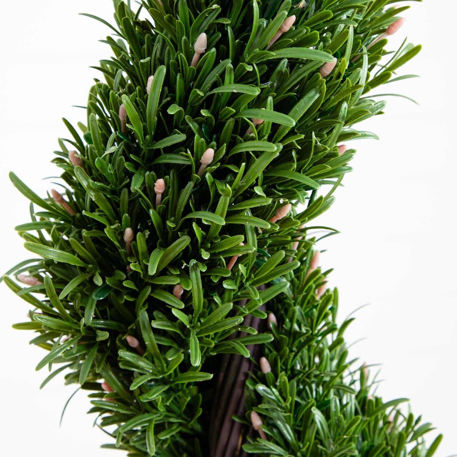 4' Rosemary Spiral Silk Tree (Indoor/Outdoor)