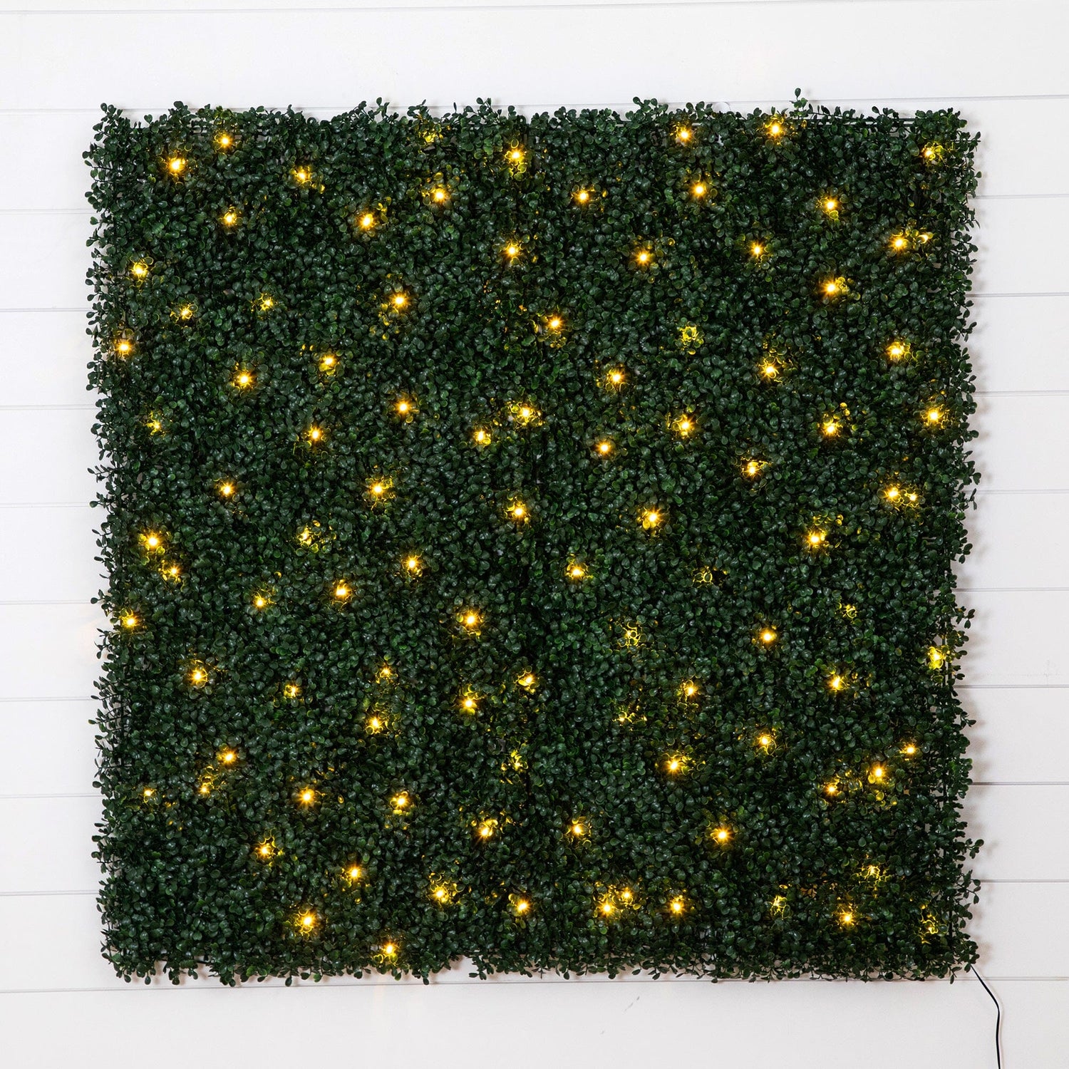 40” x 40” UV Resistant Boxwood Artificial Living Wall Panel with 100 Warm White LED Lights