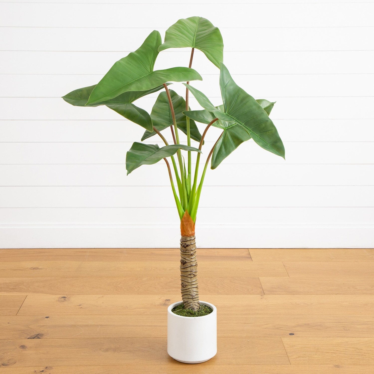 4.5’ Artificial Arrowhead Philodendron in White Decorative Planter