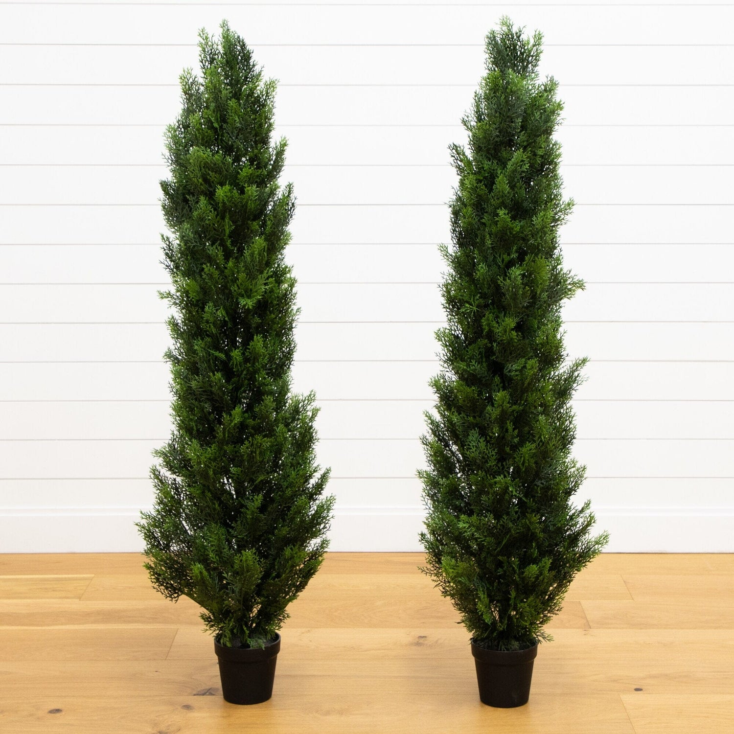 5' Mini Cedar Pine Tree UV Resistant (Indoor/Outdoor) - Set of 2