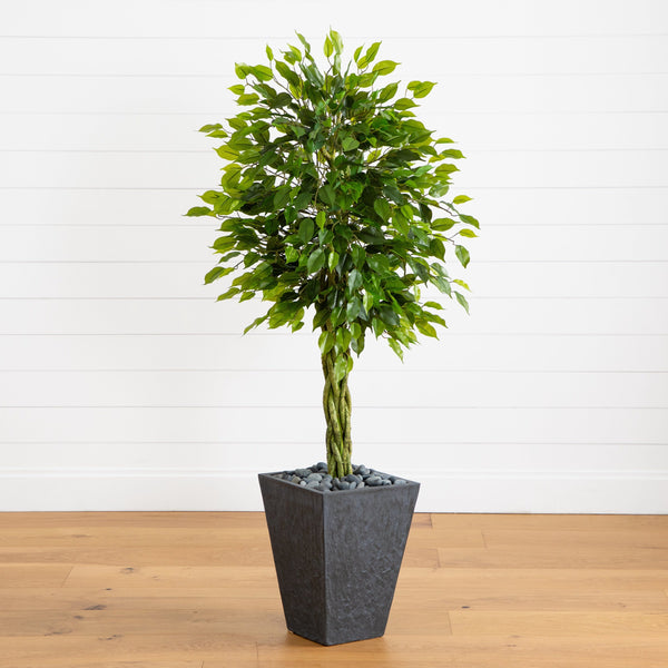 5’ Braided Ficus Artificial Tree in Slate Planter(Indoor/Outdoor)