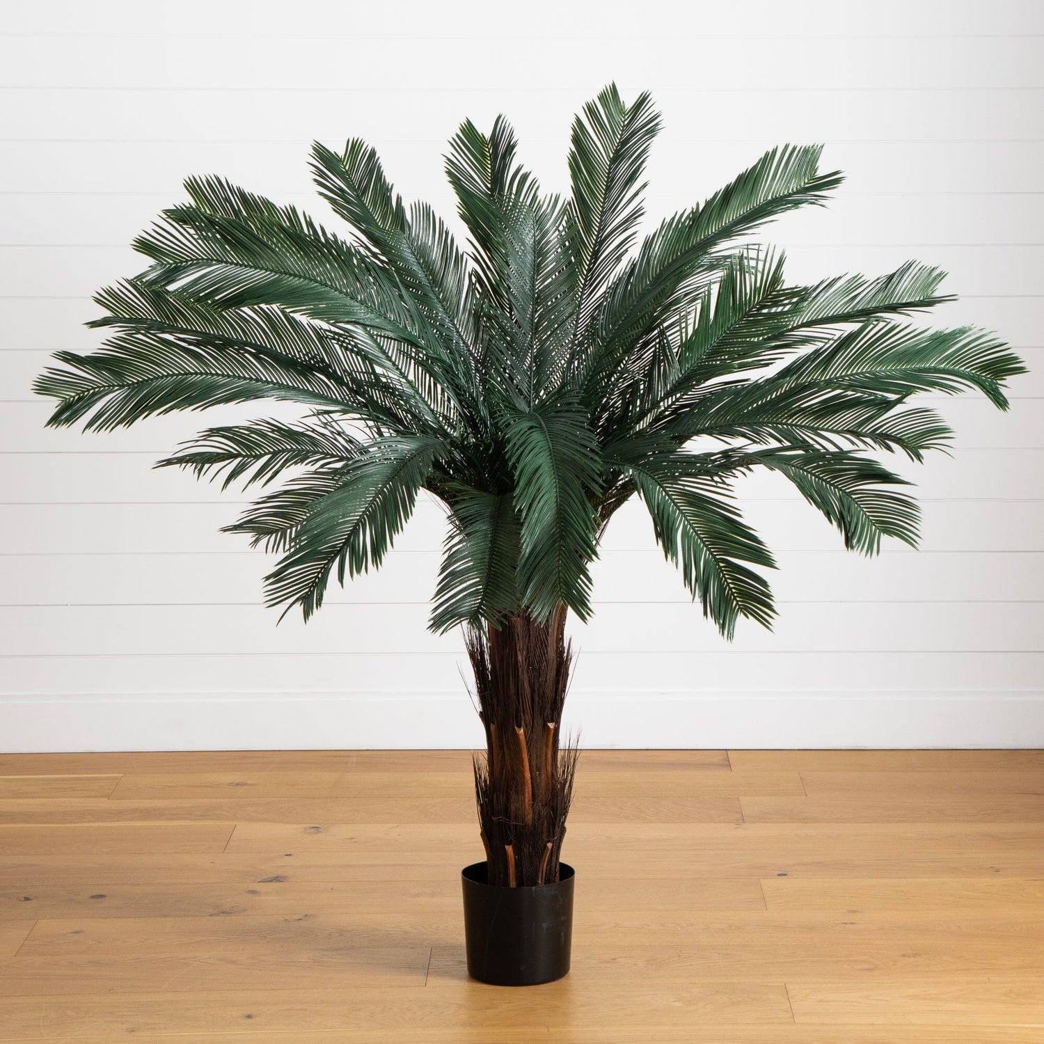 5’ Cycas Tree UV Resistant (In-door/Out-Door)