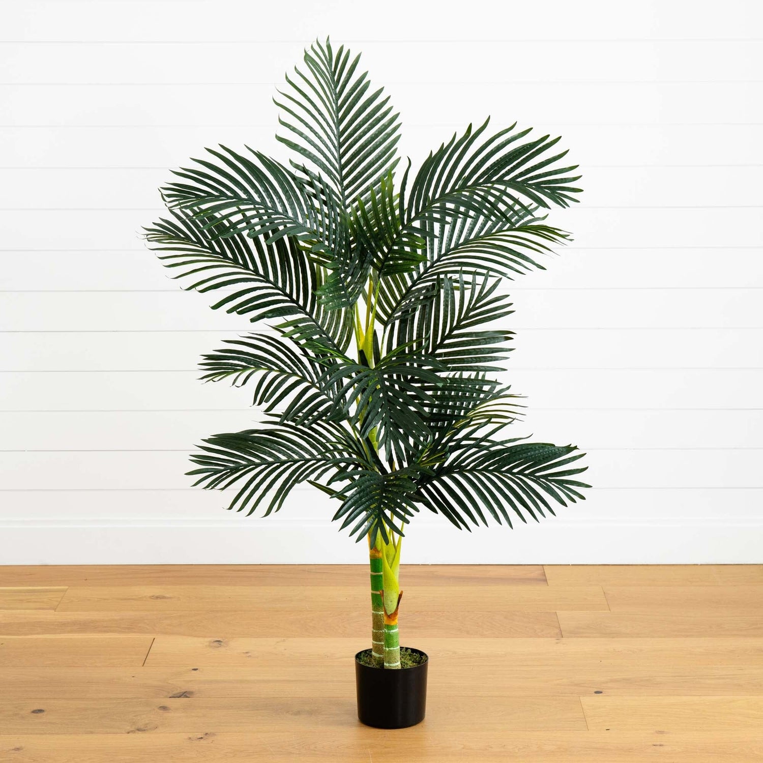 5’ Double Stalk Golden Cane Artificial Palm Tree