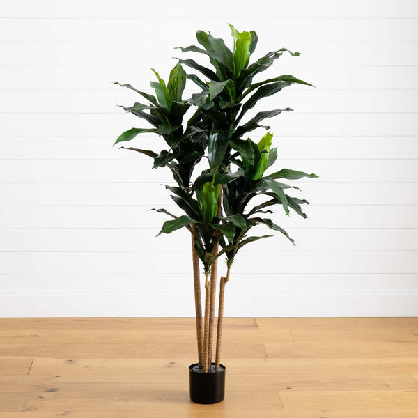 5’ Dracaena Plant UV Resistant (Indoor/Outdoor)