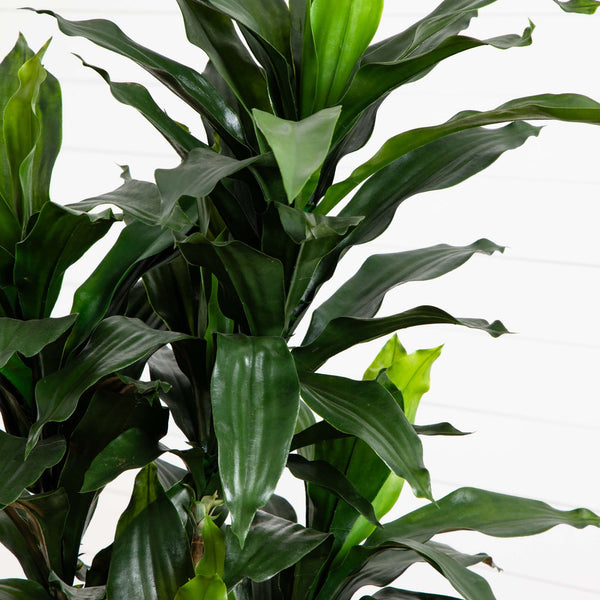 5’ Dracaena Plant UV Resistant (Indoor/Outdoor)