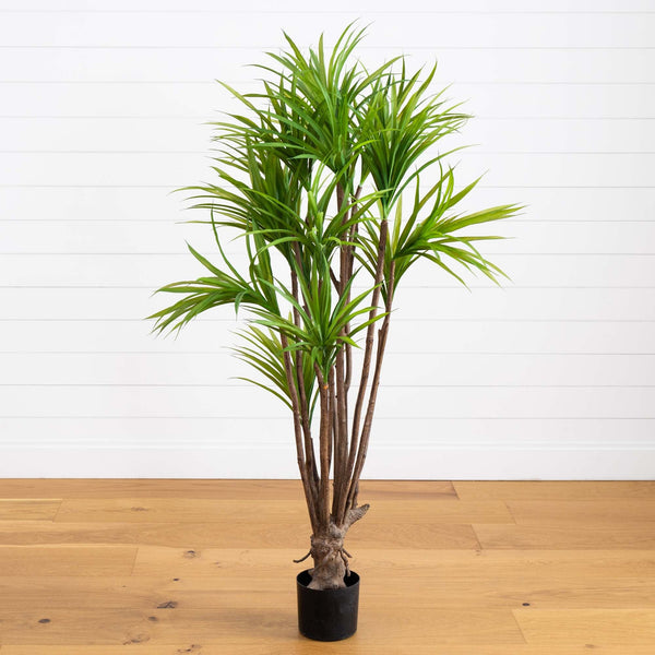 5’ Dracaena Silk Tree