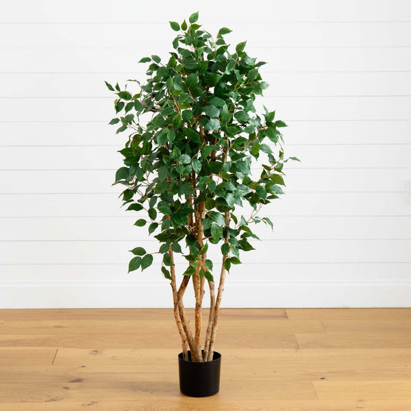 5' Ficus Bushy Silk Tree