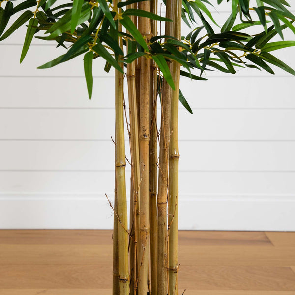 5' Multi Bambusa Bamboo Silk Tree